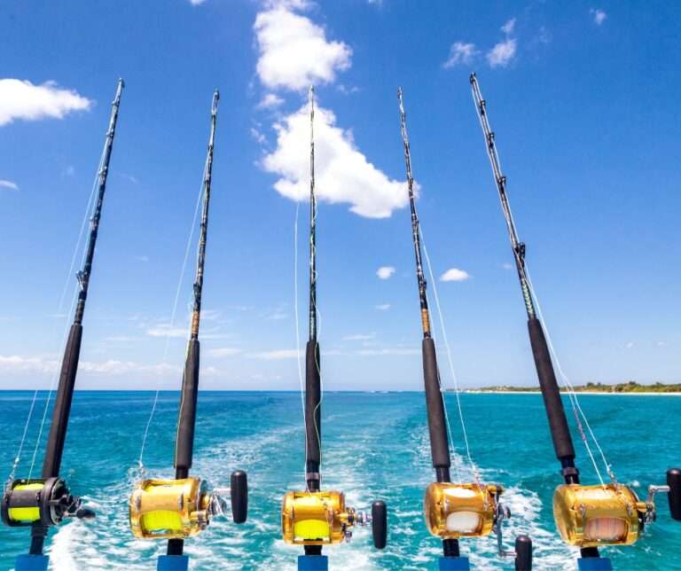 Deep Sea Fishing Florida
