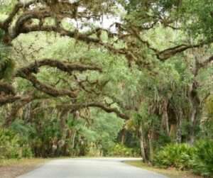 Myakka, Sarasota Florida