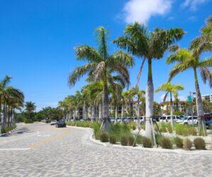 Driving to School in Sarasota, Florida