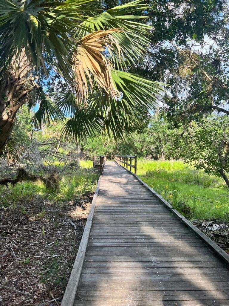 Myakka State Park walk