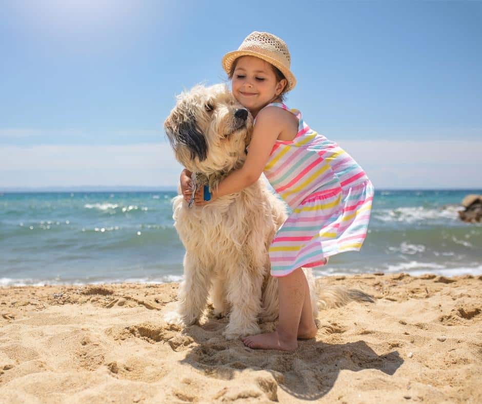 Pet Friendly Vacation