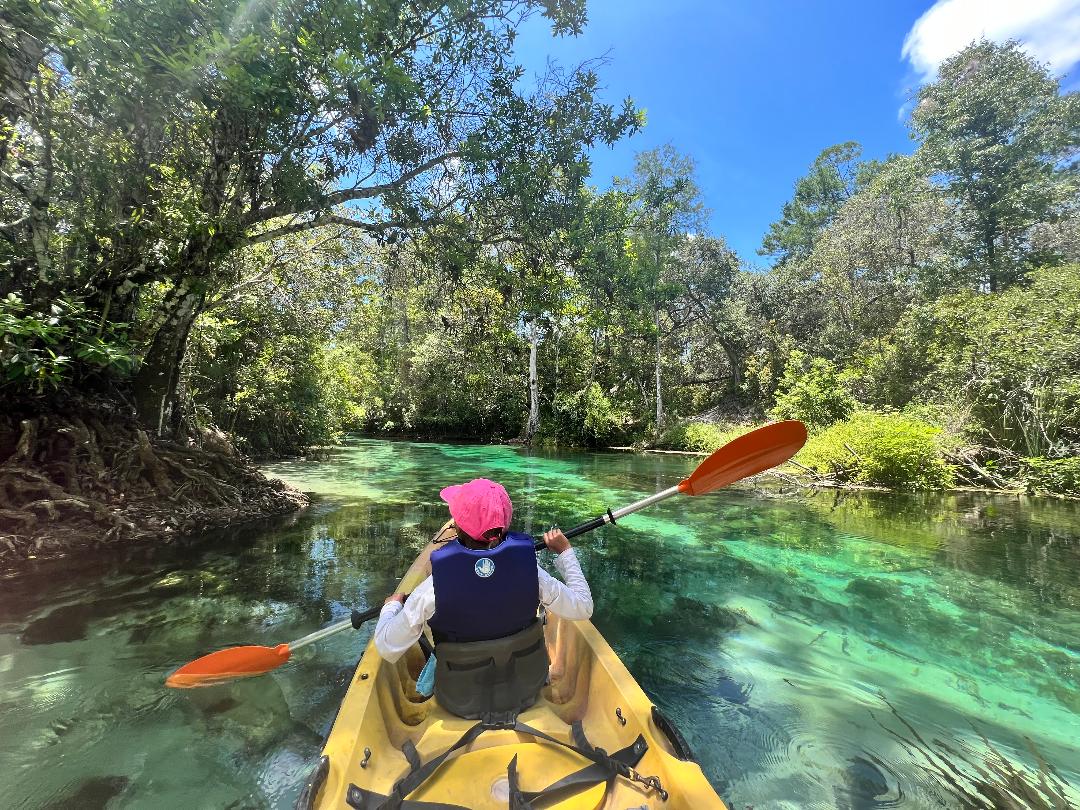 Exploring Weeki Wachee Springs: A Must-Visit Destination in Florida ...