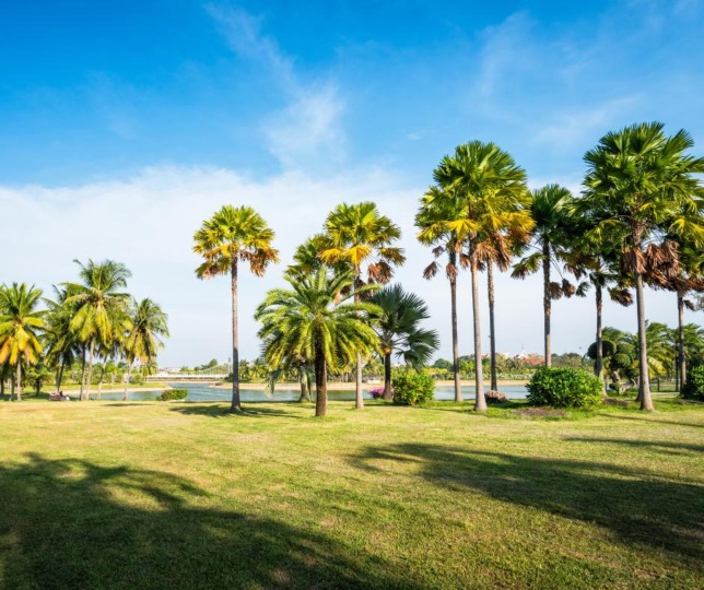 Summer Real Estate in Sarasota Florida