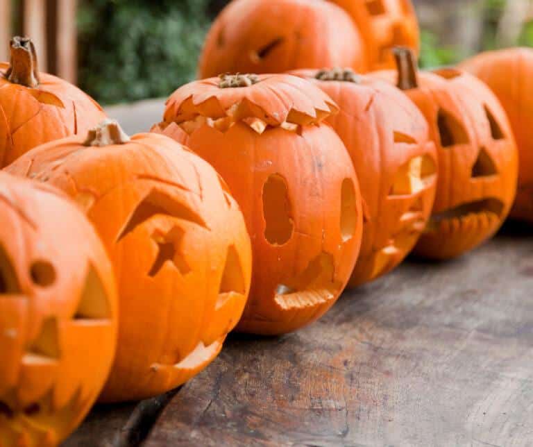 Curved Pumpkins Florida