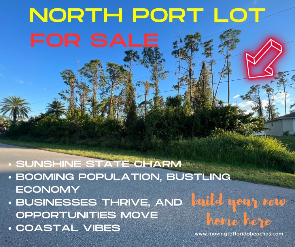 Lot for Sale: Amnesty Dr, North Port, FL