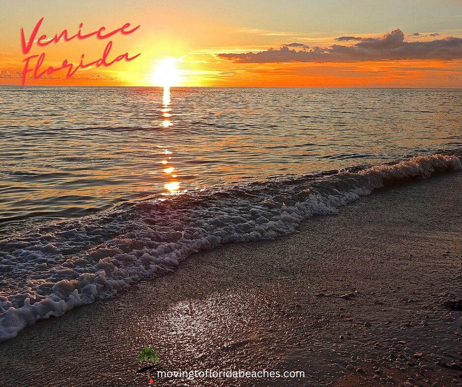 Venice Florida Houses for Sale
