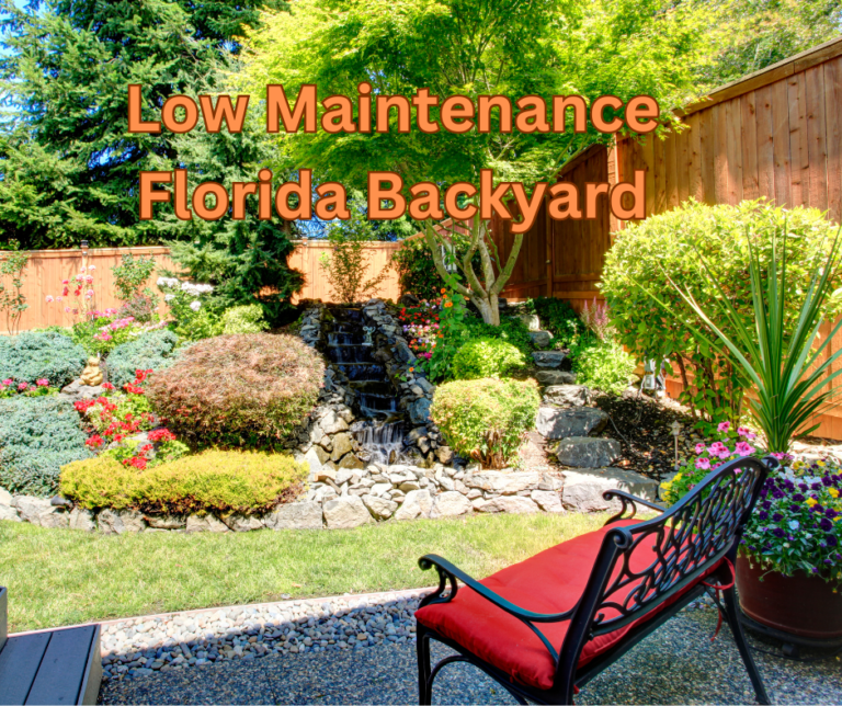 Low Maintenance Florida Backyard