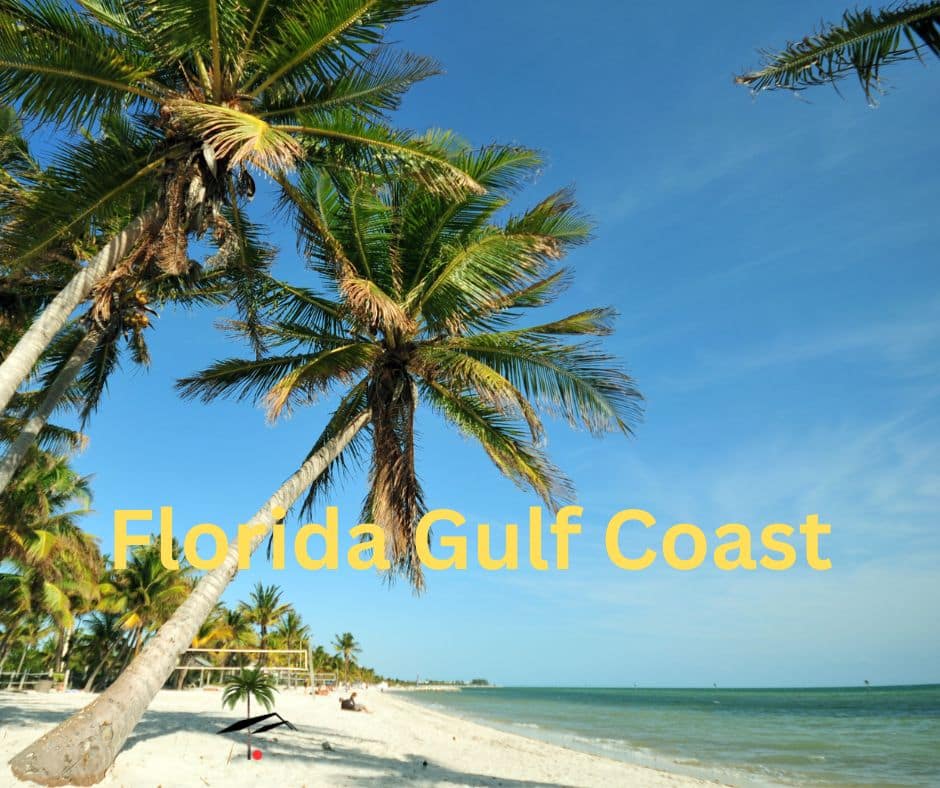 Coastal view of the Florida Gulf Coast reflecting delicate balance of nature
