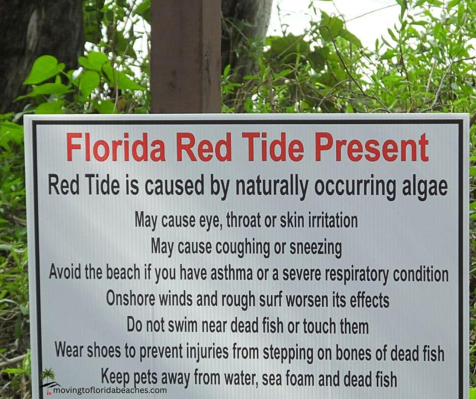 Florida Red Tide Present