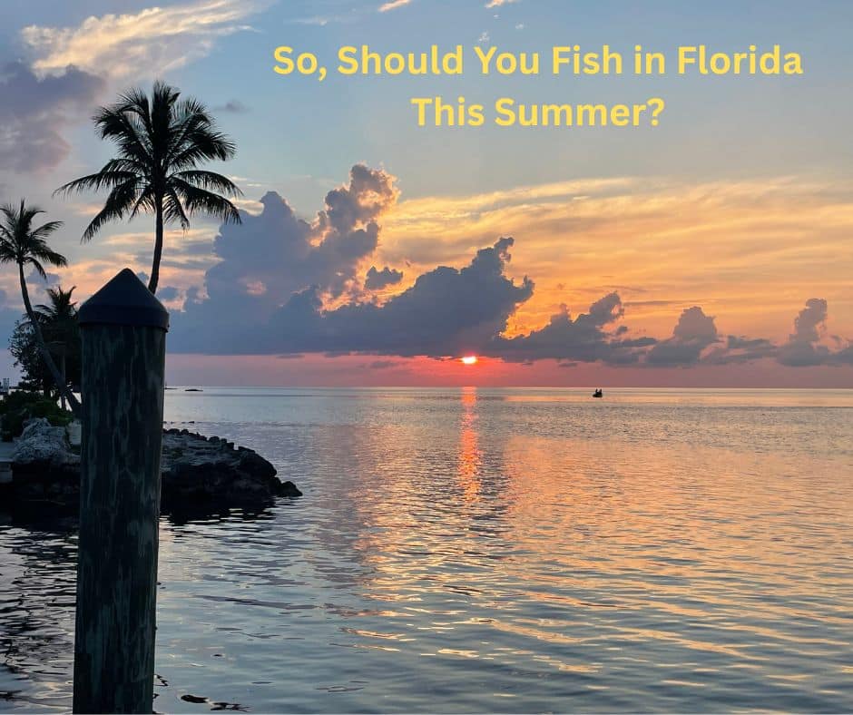 So, Should You Fish in Florida This Summer?