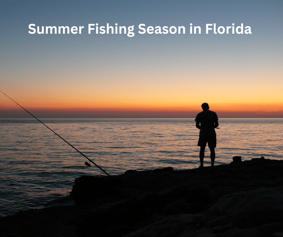Summer Fishing Season in Florida