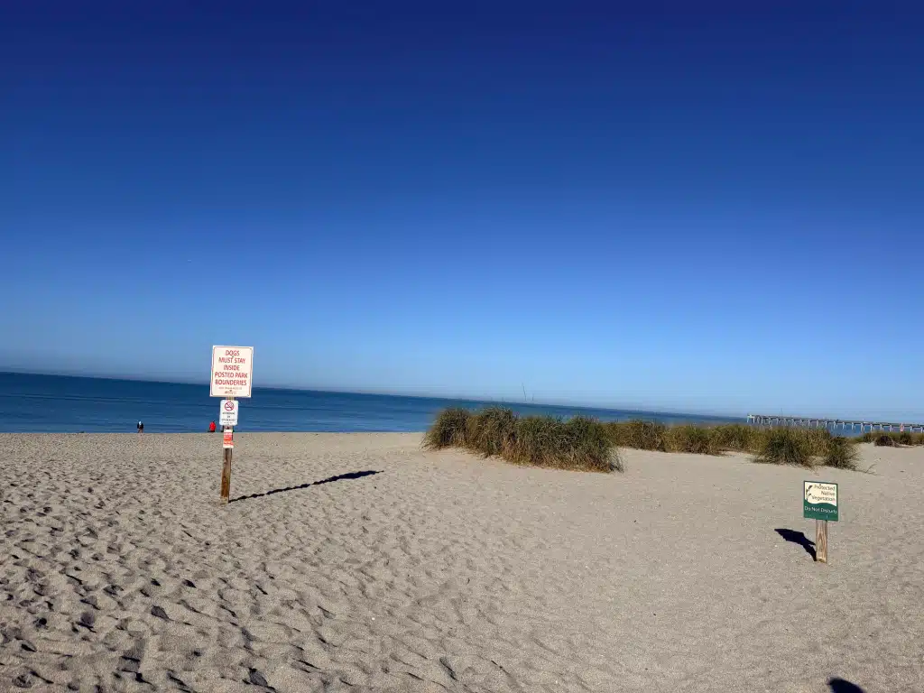 Brohard Paw Park in Venice, Florida