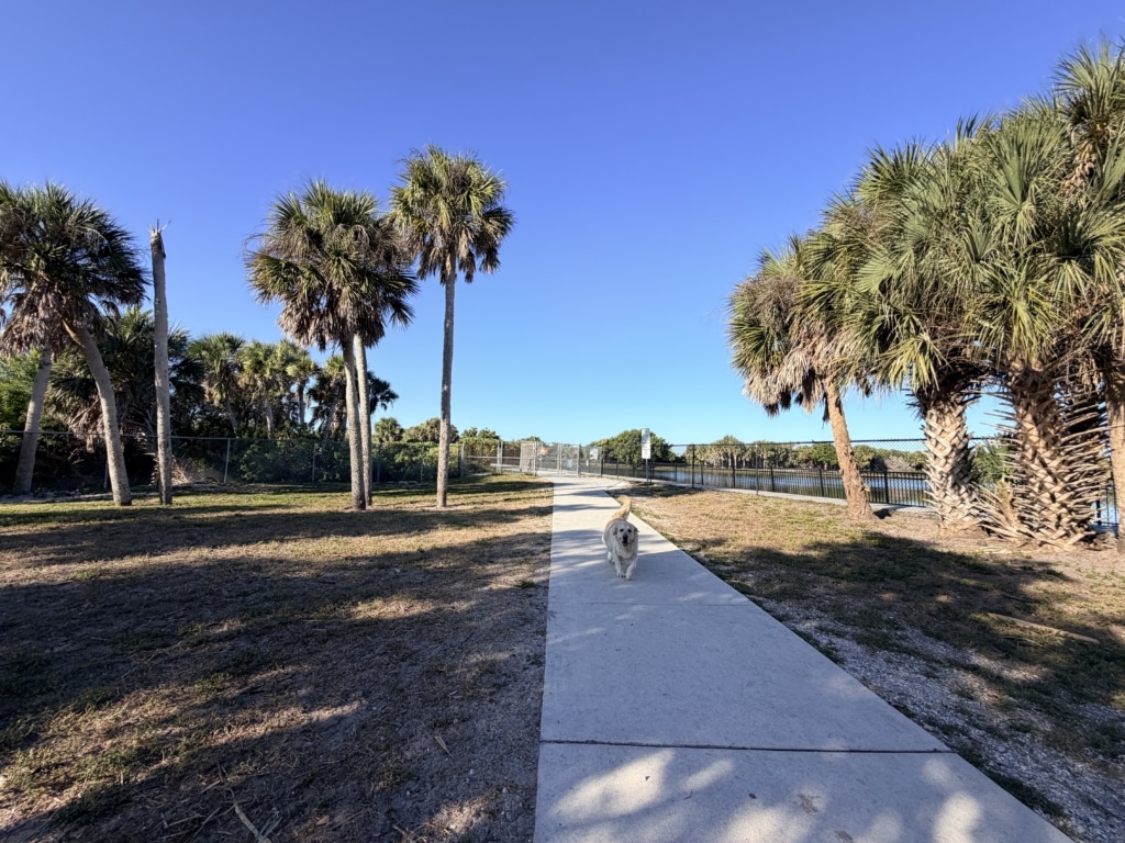Brohard Paw Park Venice, Florida. Dog Beach Park in Sarasota County