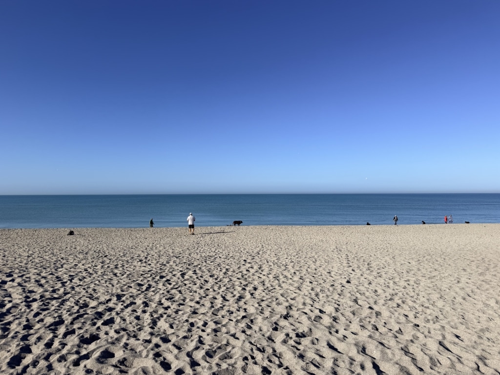 Brohard Paw Park Venice, Florida. Dog Beach Park in Sarasota County