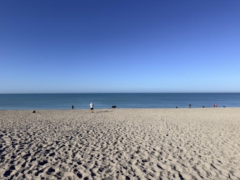 Brohard Paw Park Venice, Florida. Dog Beach Park in Sarasota County